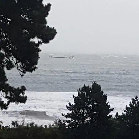 Norwegian Wood Paignton