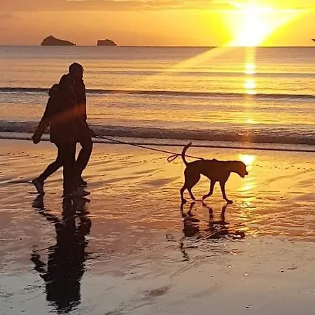 Brampton Paignton