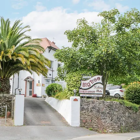 Flat 2, Big Tree Flats Holiday home *