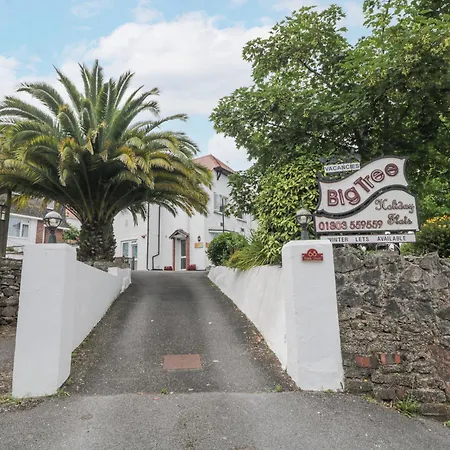 Flat 2, Big Tree Flats * Paignton