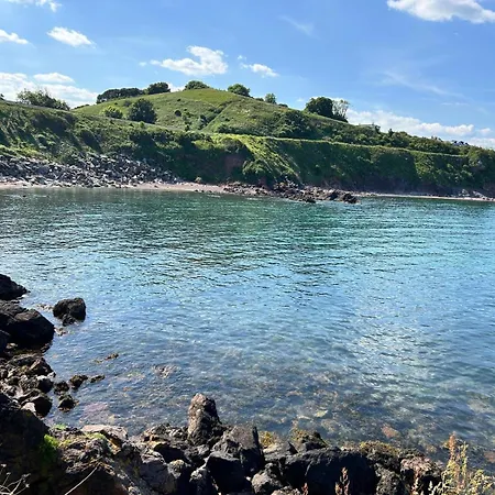 Gracie * Paignton