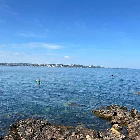 Gilbert * Paignton
