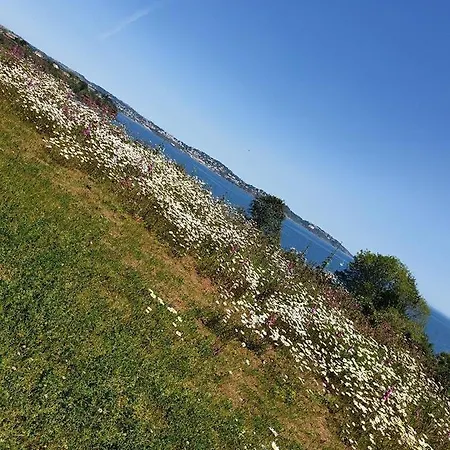 Sefton Seafront ,panoramic Sea View Ensuite Balcony Available, Guest Garden Paignton