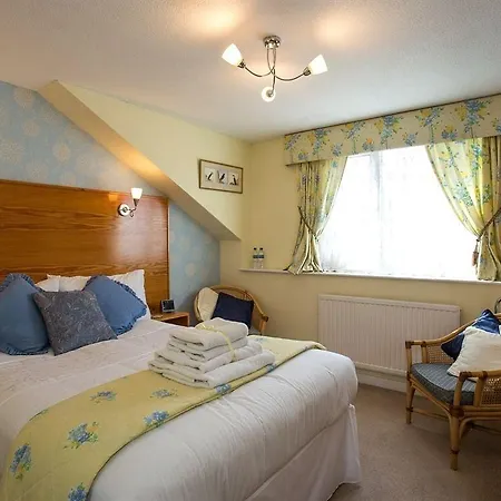 Hotel The Briars - Adults Only Paignton