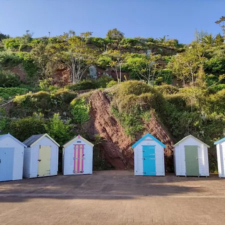 Cleve Court Paignton